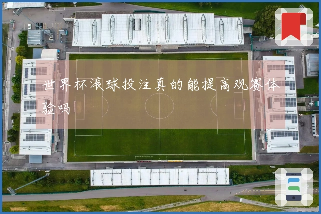 世界杯滚球投注真的能提高观赛体验吗