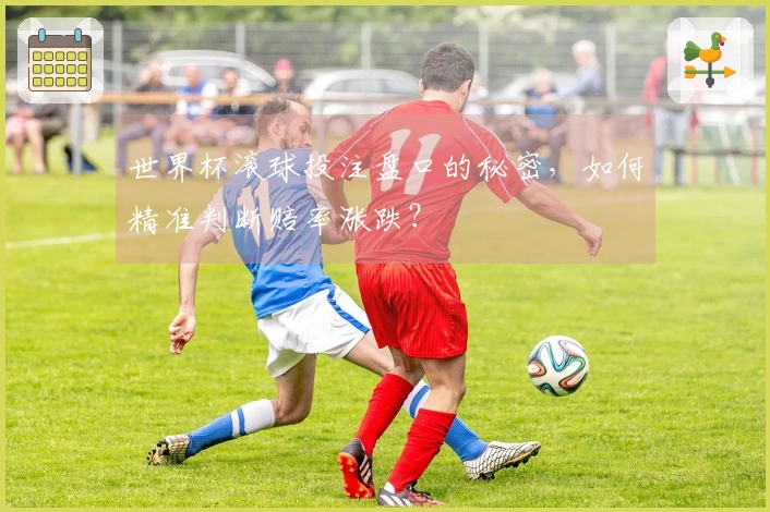 世界杯滚球投注盘口的秘密，如何精准判断赔率涨跌？
