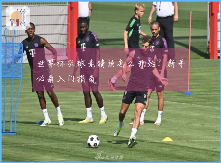 世界杯买球竞猜该怎么开始？新手必看入门指南