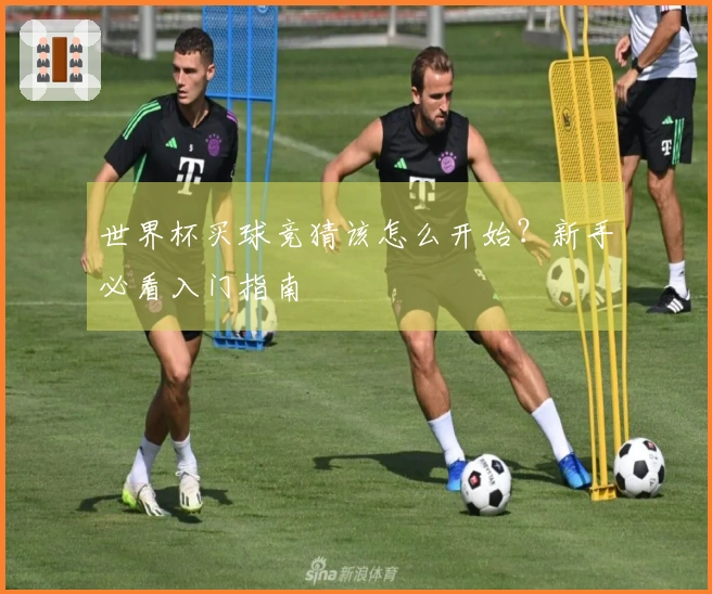 世界杯买球竞猜该怎么开始？新手必看入门指南