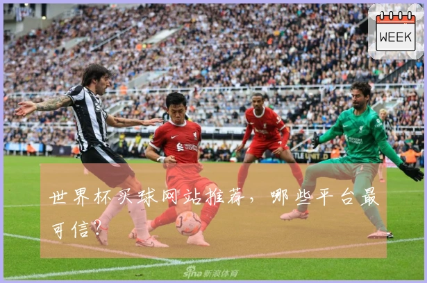 世界杯买球网站推荐，哪些平台最可信？