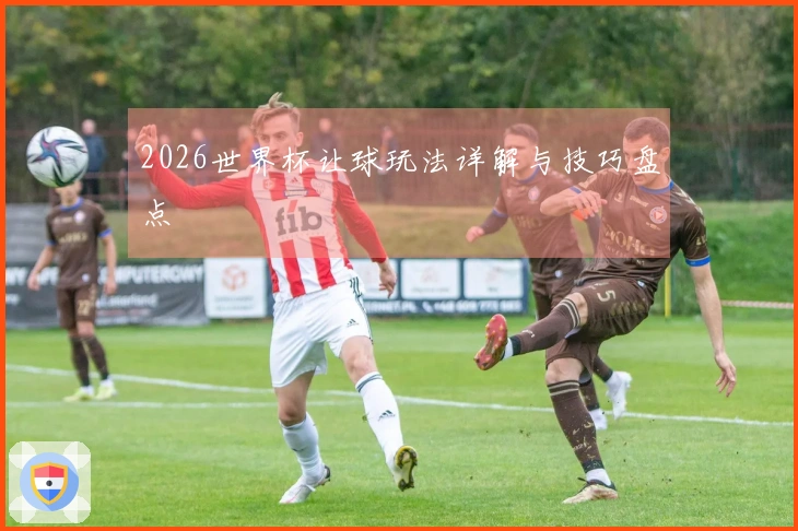 2026世界杯让球玩法详解与技巧盘点