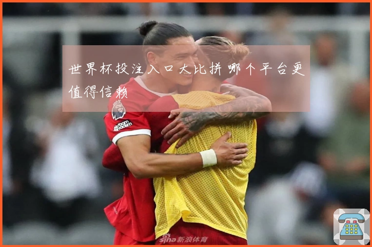 世界杯投注入口大比拼 哪个平台更值得信赖