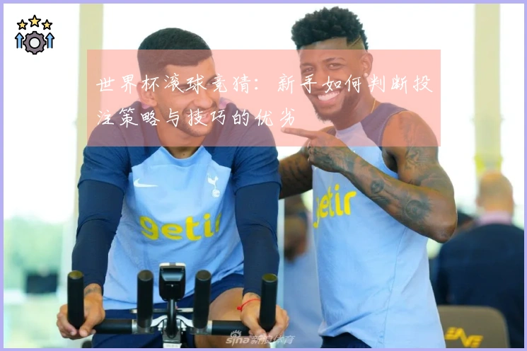 世界杯滚球竞猜：新手如何判断投注策略与技巧的优劣