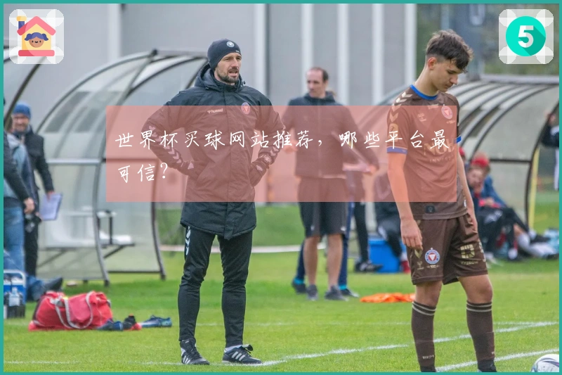 世界杯买球网站推荐，哪些平台最可信？