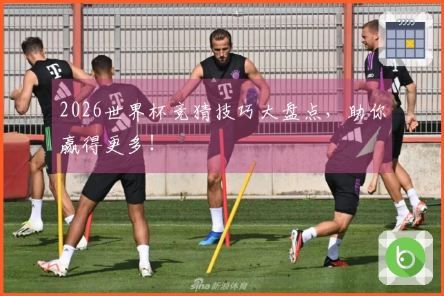 2026世界杯竞猜技巧大盘点，助你赢得更多！