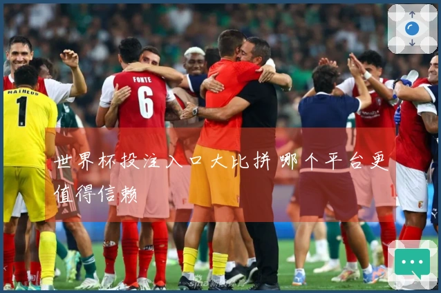 世界杯投注入口大比拼 哪个平台更值得信赖