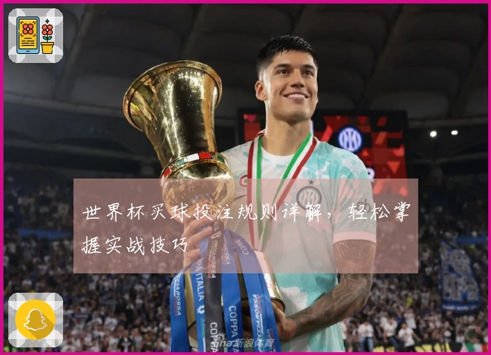 世界杯买球投注规则详解，轻松掌握实战技巧